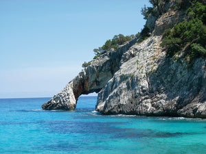 Herb Sardinia Organic Artisanal Agri-Soap Laurel - EMPORIO ITALIANO