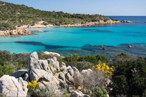 Herb Sardinia Organic Rosemary & Mint Delicate Shampoo 200 ml - EMPORIO ITALIANO