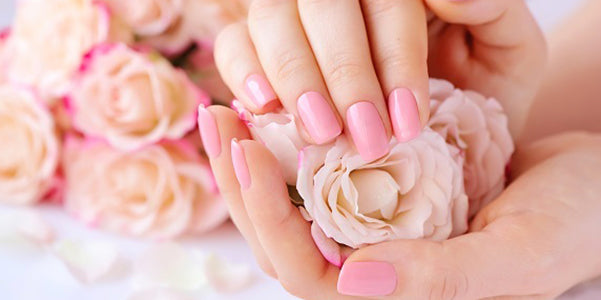 Prima Fioritura Rose Face, Neck and Decollete Butter